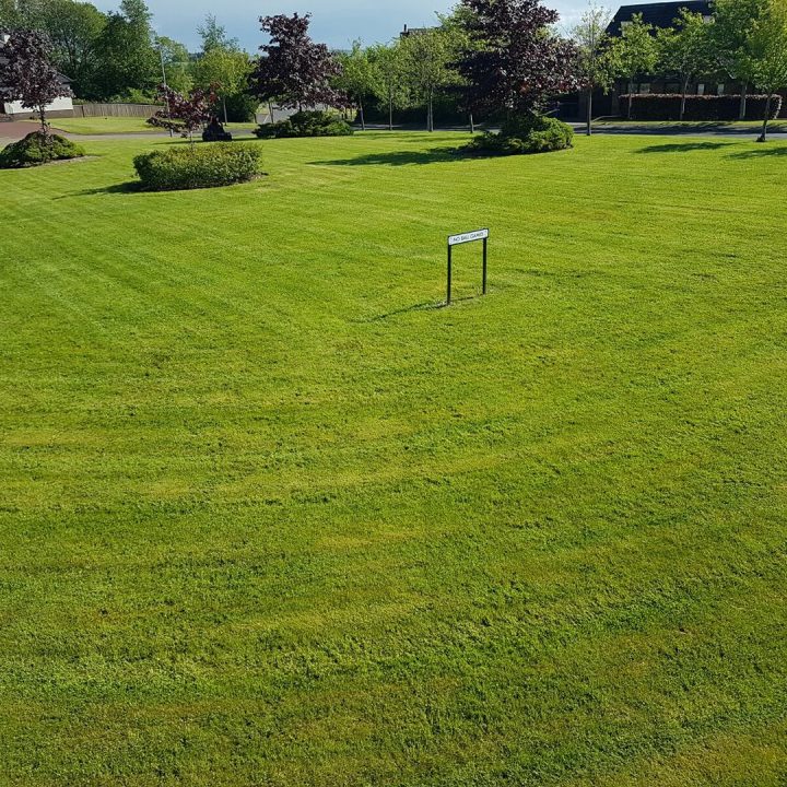 502577317 4008343862741002 5780805257036007286 n